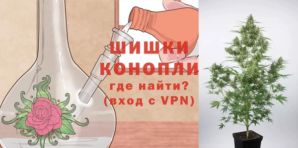 МДПВ Волоколамск