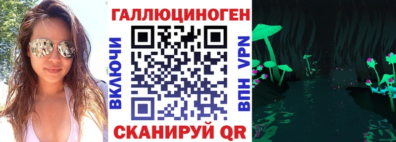 купить наркоту  Ишим  ОМГ ОМГ рабочий сайт  Псилоцибиновые грибы Cubensis 